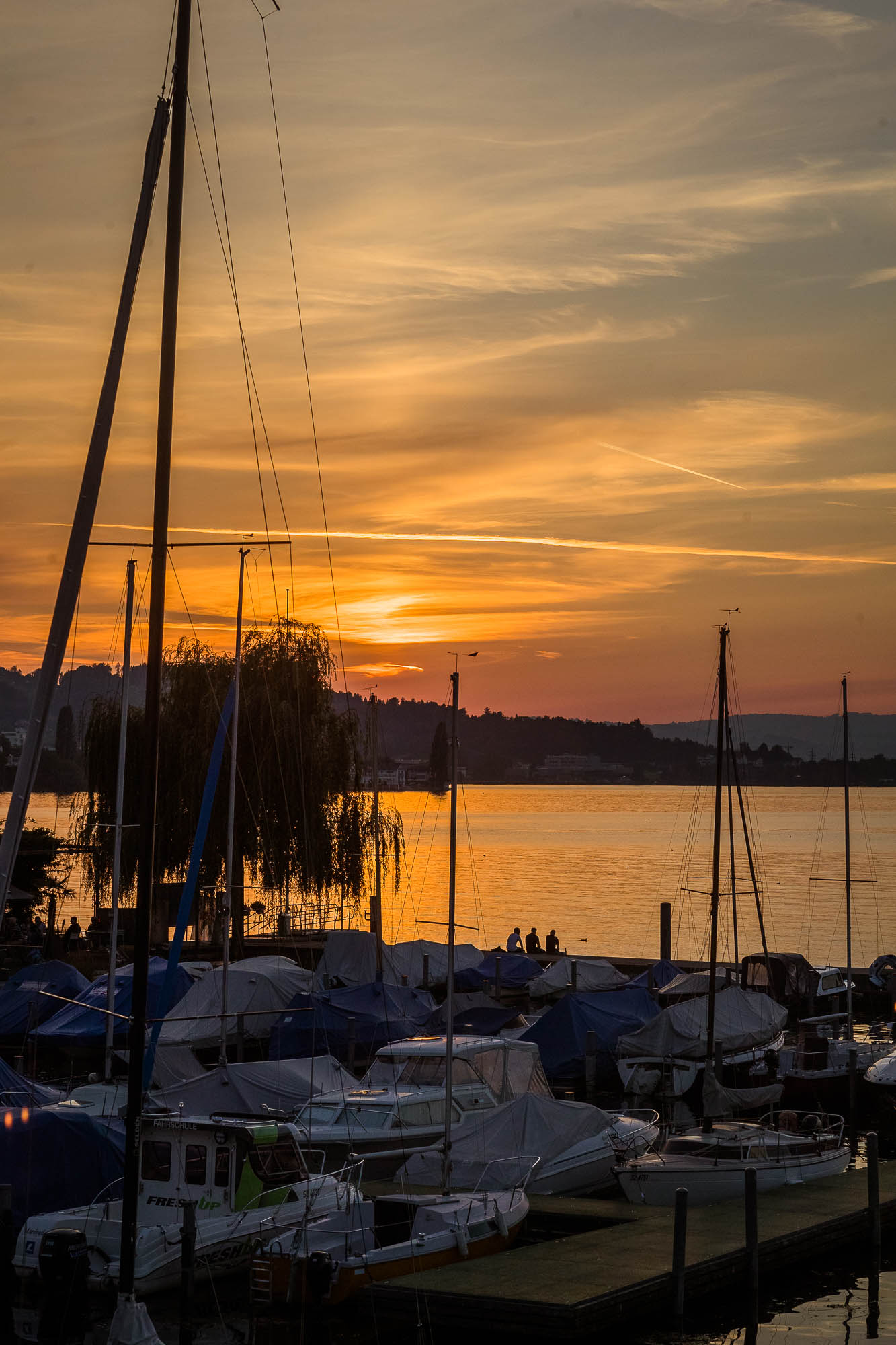 Export x3 1DX24732 Hochzeit 2020 Muriel & Trevor